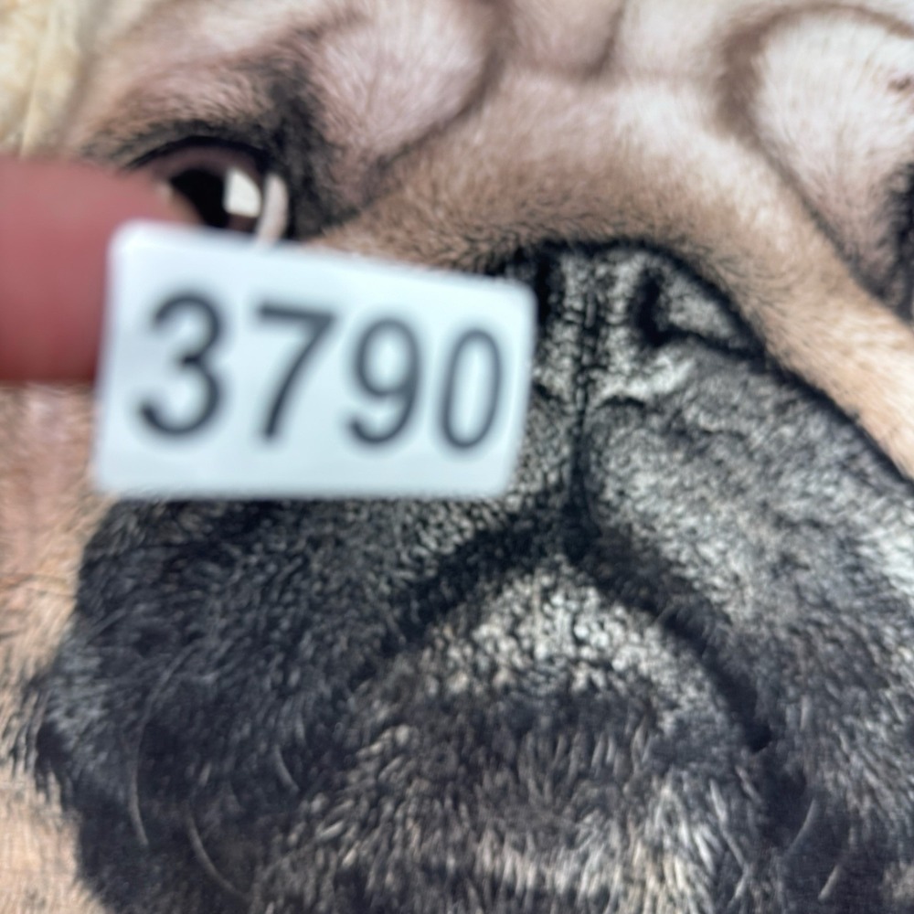 The Mountain M Beige Tie Dye Pug Dog Face T-Shirt Men's Animal Tee Dog Lover Pet - Picture 7 of 7